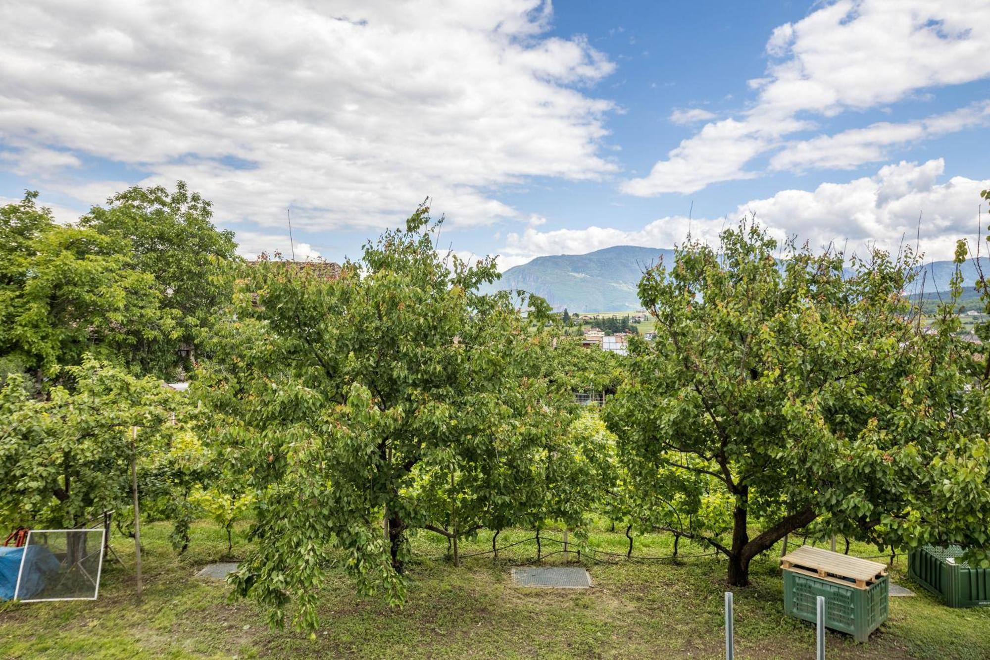 Angerblick Apartment Appiano Sulla Strada Del Vino Esterno foto