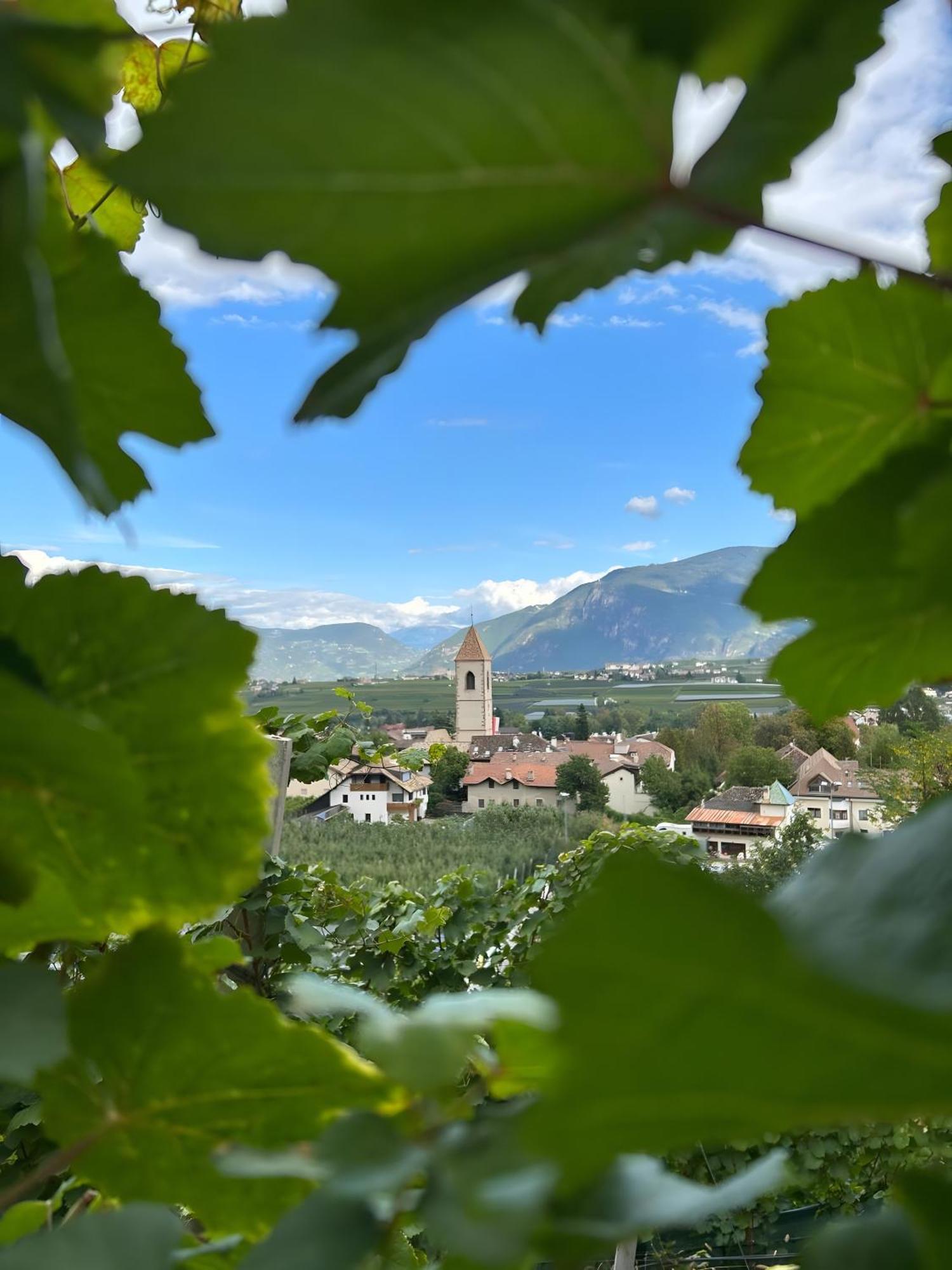 Angerblick Apartment Appiano Sulla Strada Del Vino Esterno foto